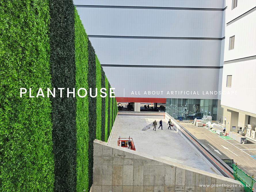 building palntwall
